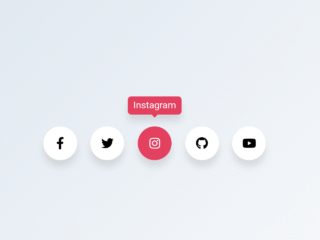 Circular Social Media Icons With Hover Effect