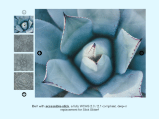 Image Gallery with Vertical Thumbnail Slider