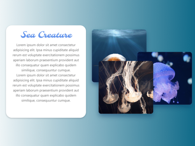 Overlapping Images Using Bootstrap 5